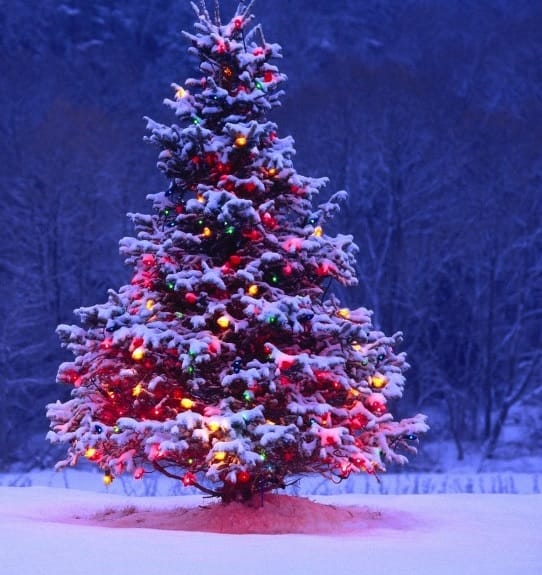 albero di Natale 2019